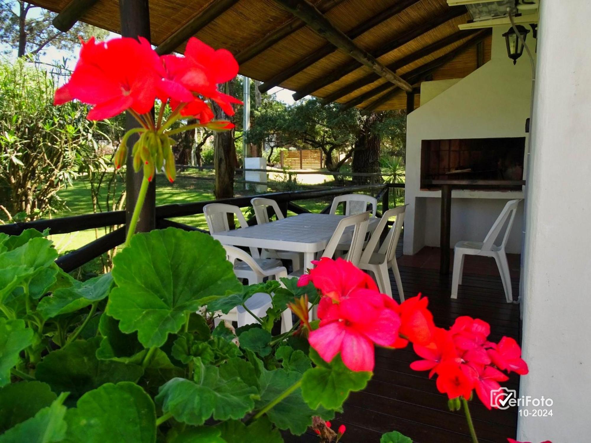 Bungalows Punta Colorada Piriápolis エクステリア 写真