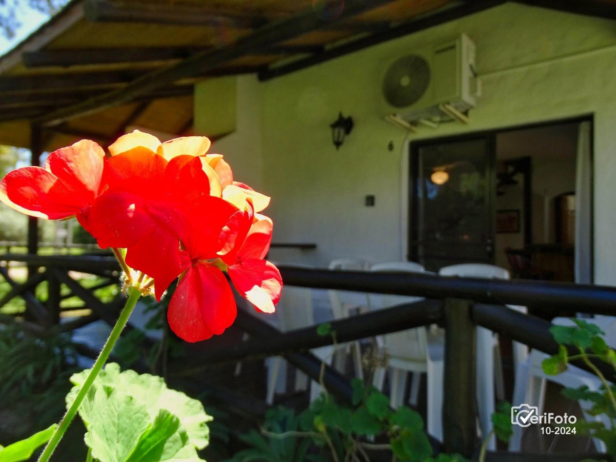 Bungalows Punta Colorada Piriápolis エクステリア 写真