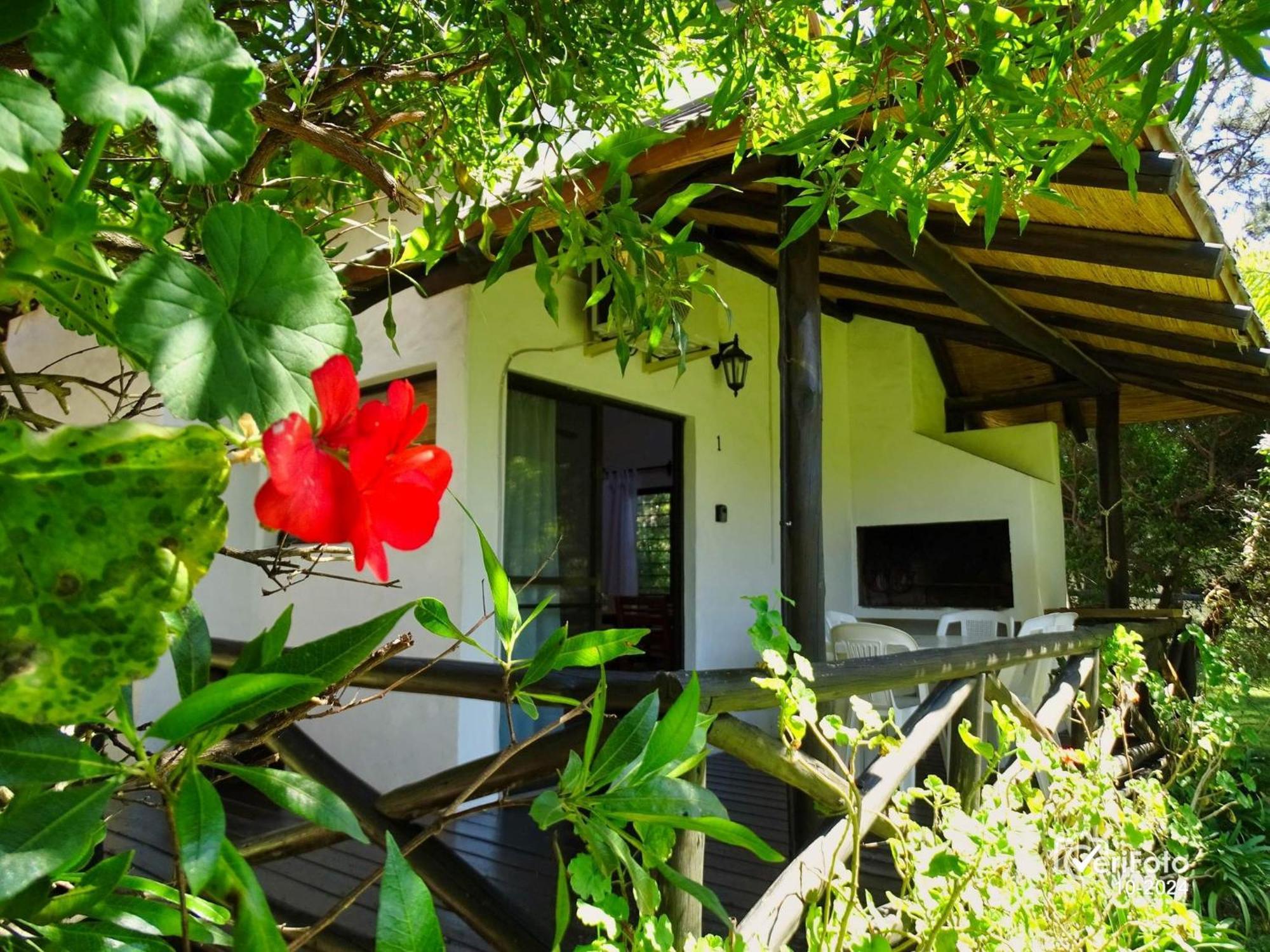 Bungalows Punta Colorada Piriápolis エクステリア 写真